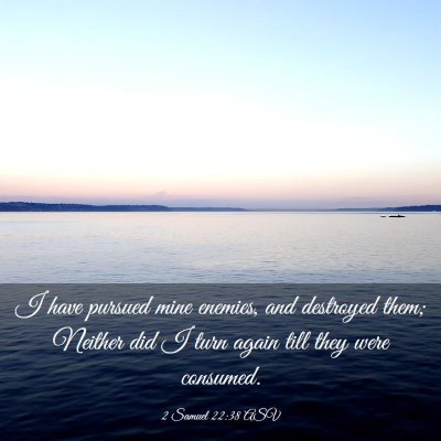 Picture 03 - 2 Samuel 22:38 ASV - I have pursued mine enemies, and destroyed them; - Bible Verse Picture