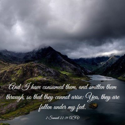 Picture 03 - 2 Samuel 22:39 ASV - And I have consumed them, and smitten them - Bible Verse Picture