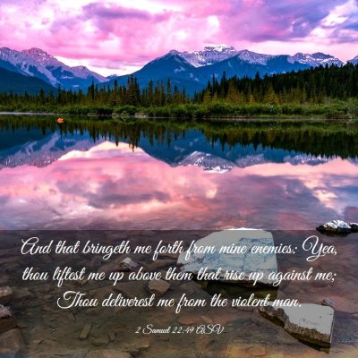 Picture 03 - 2 Samuel 22:49 ASV - And that bringeth me forth from mine enemies: - Bible Verse Picture