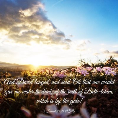 Picture 03 - 2 Samuel 23:15 ASV - And David longed, and said, Oh that one would - Bible Verse Picture