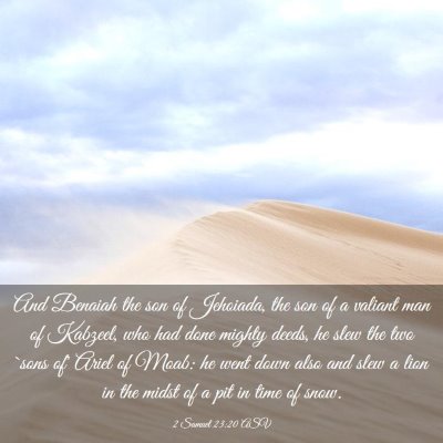 Picture 03 - 2 Samuel 23:20 ASV - And Benaiah the son of Jehoiada, the son of a - Bible Verse Picture