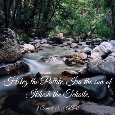 Picture 03 - 2 Samuel 23:26 ASV - Helez the Paltite, Ira the son of Ikkesh the - Bible Verse Picture