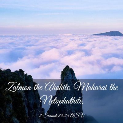 Picture 03 - 2 Samuel 23:28 ASV - Zalmon the Ahohite, Maharai the - Bible Verse Picture