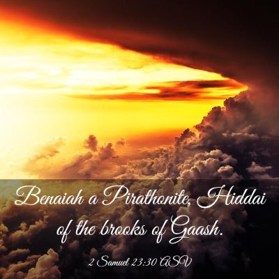 Picture 03 - 2 Samuel 23:30 ASV - Benaiah a Pirathonite, Hiddai of the brooks of - Bible Verse Picture
