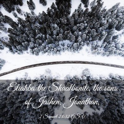 Picture 03 - 2 Samuel 23:32 ASV - Eliahba the Shaalbonite, the sons of Jashen, - Bible Verse Picture