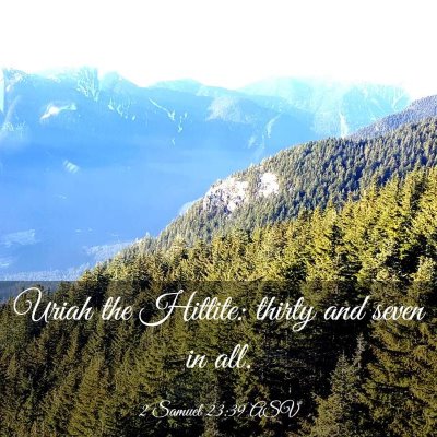Picture 03 - 2 Samuel 23:39 ASV - Uriah the Hittite: thirty and seven in - Bible Verse Picture