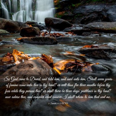 Picture 03 - 2 Samuel 24:13 ASV - So Gad came to David, and told him, and said unto - Bible Verse Picture