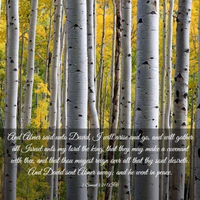 Picture 03 - 2 Samuel 3:21 ASV - And Abner said unto David, I will arise and go, - Bible Verse Picture