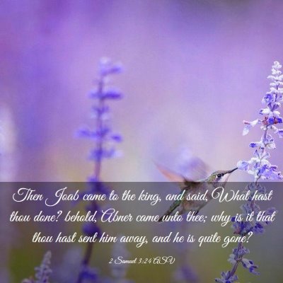 Picture 03 - 2 Samuel 3:24 ASV - Then Joab came to the king, and said, What hast - Bible Verse Picture