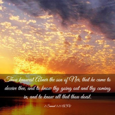 Picture 03 - 2 Samuel 3:25 ASV - Thou knowest Abner the son of Ner, that he came - Bible Verse Picture