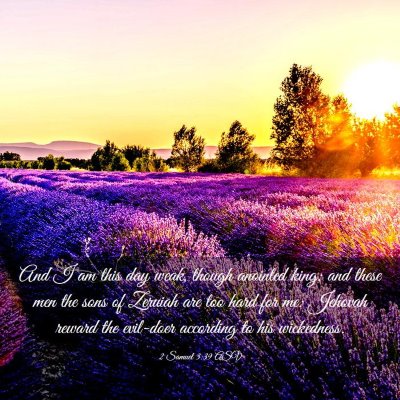Picture 03 - 2 Samuel 3:39 ASV - And I am this day weak, though anointed king; and - Bible Verse Picture