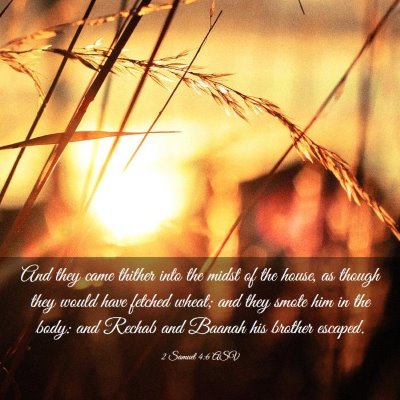 Picture 03 - 2 Samuel 4:6 ASV - And they came thither into the midst of the - Bible Verse Picture