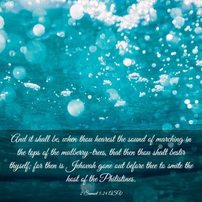Picture 03 - 2 Samuel 5:24 ASV - And it shall be, when thou hearest the sound of - Bible Verse Picture
