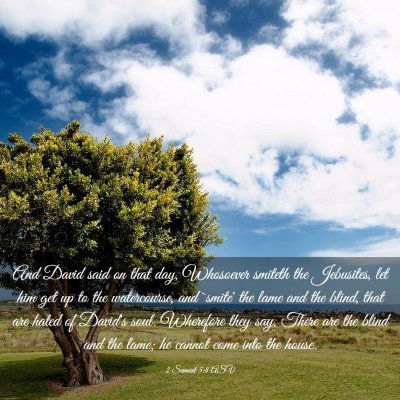 Picture 03 - 2 Samuel 5:8 ASV - And David said on that day, Whosoever smiteth the - Bible Verse Picture