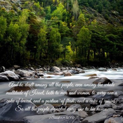 Picture 03 - 2 Samuel 6:19 ASV - And he dealt among all the people, even among the - Bible Verse Picture