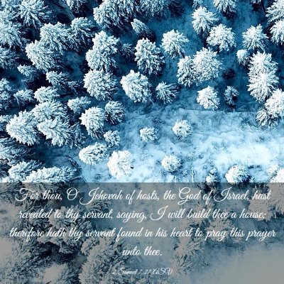 Picture 03 - 2 Samuel 7:27 ASV - For thou, O Jehovah of hosts, the God of Israel, - Bible Verse Picture