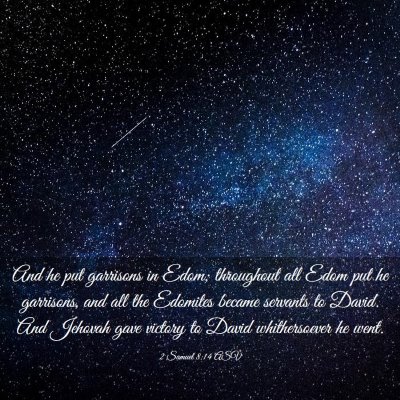 Picture 03 - 2 Samuel 8:14 ASV - And he put garrisons in Edom; throughout all Edom - Bible Verse Picture