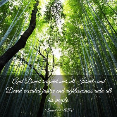 Picture 03 - 2 Samuel 8:15 ASV - And David reigned over all Israel; and David - Bible Verse Picture