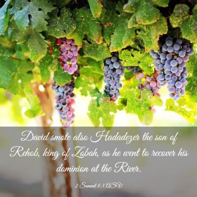 Picture 03 - 2 Samuel 8:3 ASV - David smote also Hadadezer the son of Rehob, king - Bible Verse Picture