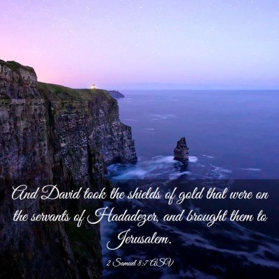 Picture 03 - 2 Samuel 8:7 ASV - And David took the shields of gold that were on - Bible Verse Picture