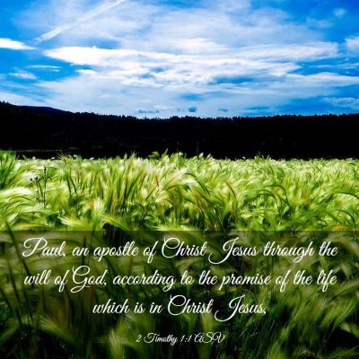 Picture 03 - 2 Timothy 1:1 ASV - Paul, an apostle of Christ Jesus through the will - Bible Verse Picture