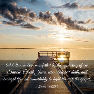 Picture 03 - 2 Timothy 1:10 ASV - but hath now been manifested by the appearing of - Bible Verse Picture