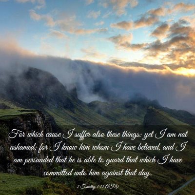 Picture 03 - 2 Timothy 1:12 ASV - For which cause I suffer also these things: yet I - Bible Verse Picture