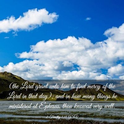 Picture 03 - 2 Timothy 1:18 ASV - (the Lord grant unto him to find mercy of the - Bible Verse Picture