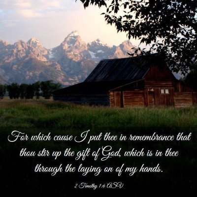 Picture 03 - 2 Timothy 1:6 ASV - For which cause I put thee in remembrance that - Bible Verse Picture