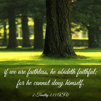 Picture 03 - 2 Timothy 2:13 ASV - if we are faithless, he abideth faithful; for he - Bible Verse Picture