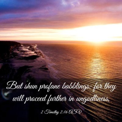 Picture 03 - 2 Timothy 2:16 ASV - But shun profane babblings: for they will proceed - Bible Verse Picture