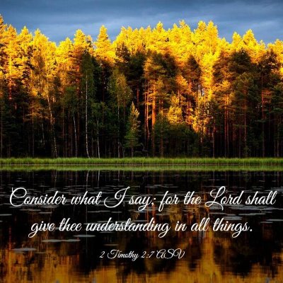 Picture 03 - 2 Timothy 2:7 ASV - Consider what I say; for the Lord shall give thee - Bible Verse Picture
