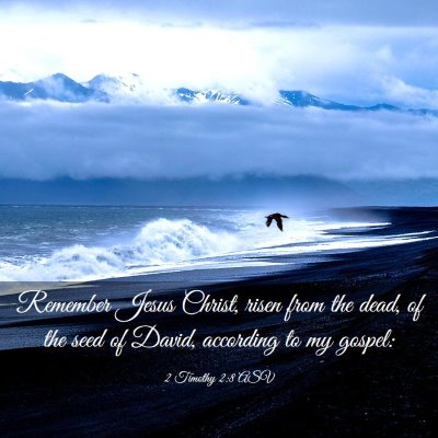 Picture 03 - 2 Timothy 2:8 ASV - Remember Jesus Christ, risen from the dead, of - Bible Verse Picture