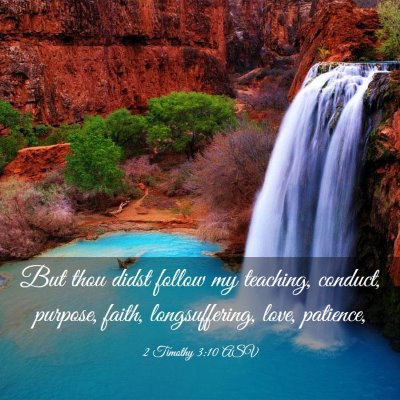Picture 03 - 2 Timothy 3:10 ASV - But thou didst follow my teaching, conduct, - Bible Verse Picture