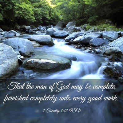 Picture 03 - 2 Timothy 3:17 ASV - That the man of God may be complete, furnished - Bible Verse Picture