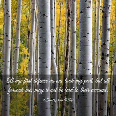 Picture 03 - 2 Timothy 4:16 ASV - At my first defence no one took my part, but all - Bible Verse Picture