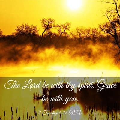 Picture 03 - 2 Timothy 4:22 ASV - The Lord be with thy spirit. Grace be with - Bible Verse Picture