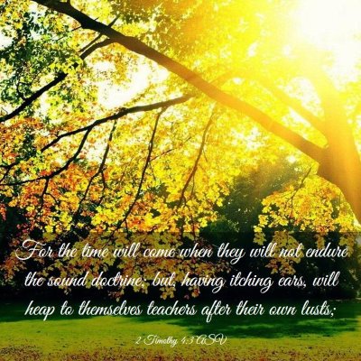 Picture 03 - 2 Timothy 4:3 ASV - For the time will come when they will not endure - Bible Verse Picture