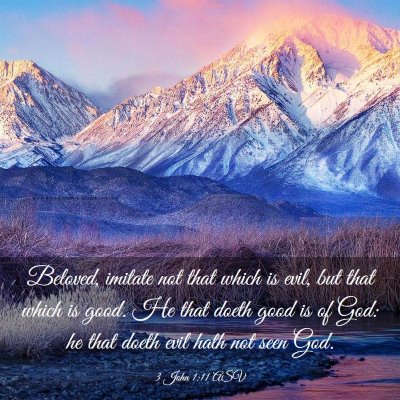 Picture 03 - 3 John 1:11 ASV - Beloved, imitate not that which is evil, but that - Bible Verse Picture