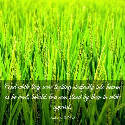 Picture 03 - Acts 1:10 ASV - And while they were looking stedfastly into - Bible Verse Picture