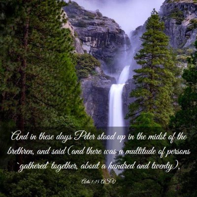 Picture 03 - Acts 1:15 ASV - And in these days Peter stood up in the midst of - Bible Verse Picture