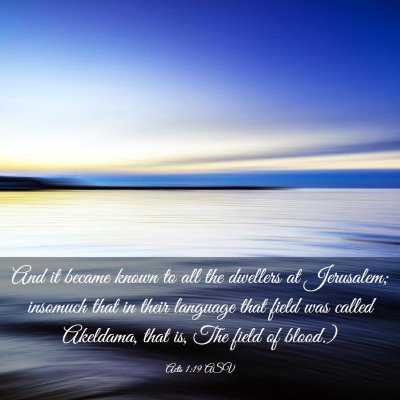 Picture 03 - Acts 1:19 ASV - And it became known to all the dwellers at - Bible Verse Picture