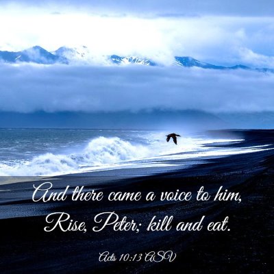 Picture 03 - Acts 10:13 ASV - And there came a voice to him, Rise, Peter; kill - Bible Verse Picture