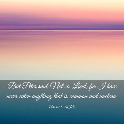Picture 03 - Acts 10:14 ASV - But Peter said, Not so, Lord; for I have never - Bible Verse Picture