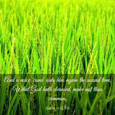 Picture 03 - Acts 10:15 ASV - And a voice `came' unto him again the second - Bible Verse Picture