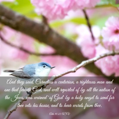 Picture 03 - Acts 10:22 ASV - And they said, Cornelius a centurion, a righteous - Bible Verse Picture