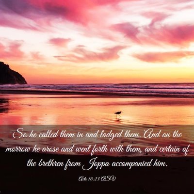 Picture 03 - Acts 10:23 ASV - So he called them in and lodged them. And on the - Bible Verse Picture