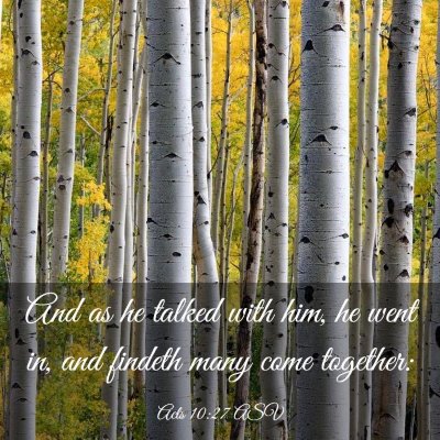 Picture 03 - Acts 10:27 ASV - And as he talked with him, he went in, and - Bible Verse Picture