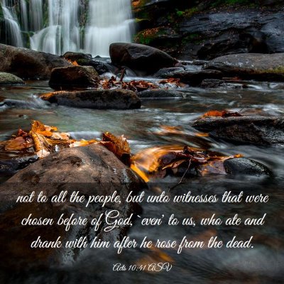 Picture 03 - Acts 10:41 ASV - not to all the people, but unto witnesses that - Bible Verse Picture