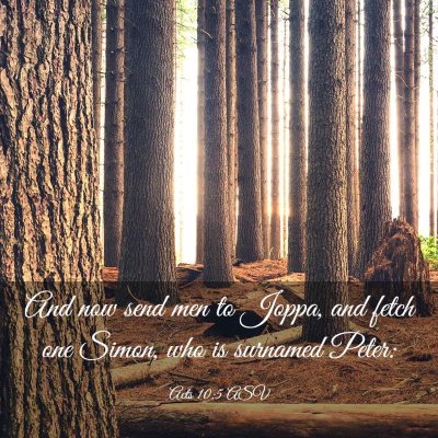 Picture 03 - Acts 10:5 ASV - And now send men to Joppa, and fetch one Simon, - Bible Verse Picture